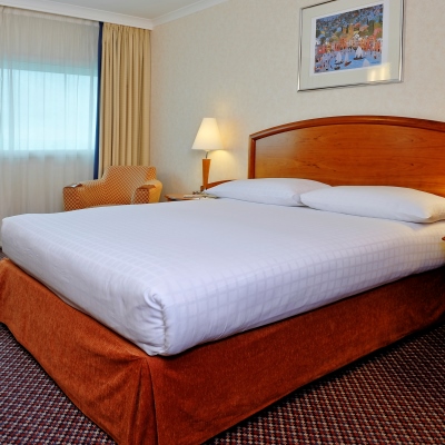 hotel Arora Hotel Heathrow (Superior)
