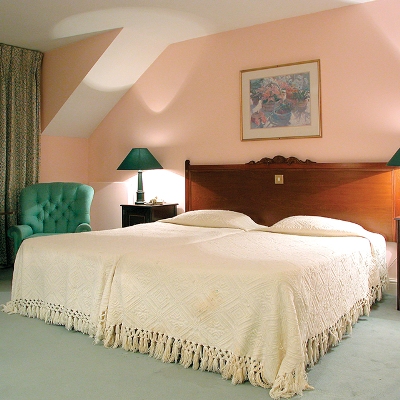 Bosworth Hall Image