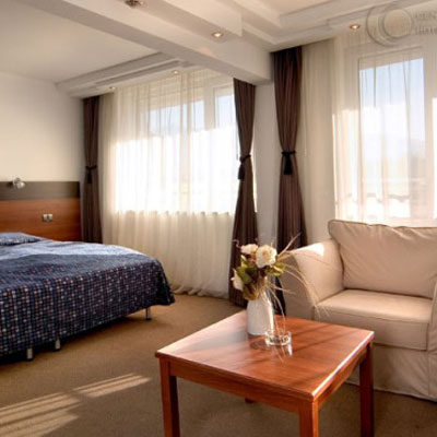 Central Hotel Forum (Deluxe) Image