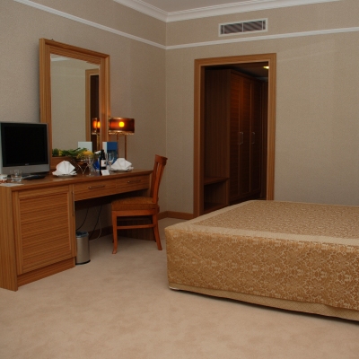 Dedeman Antakya Image