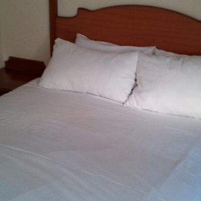 Great Barr Hotel (11km From Birmingham) Image