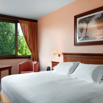 Hilton Strasbourg Image