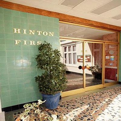 Hinton Firs
