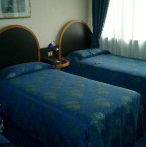 Mini Tiziano Image