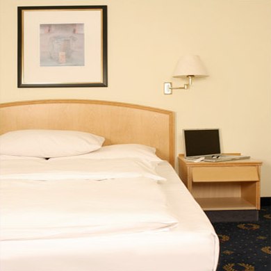 Pentahotel Eisenach Image