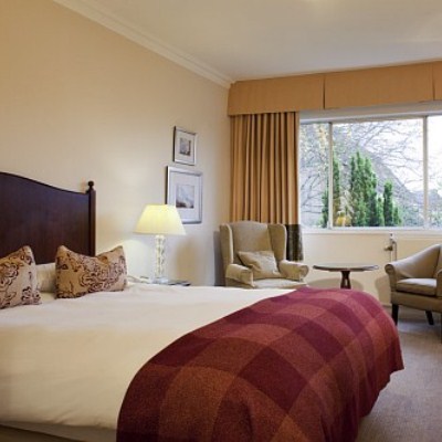 Mercure White Horse Image